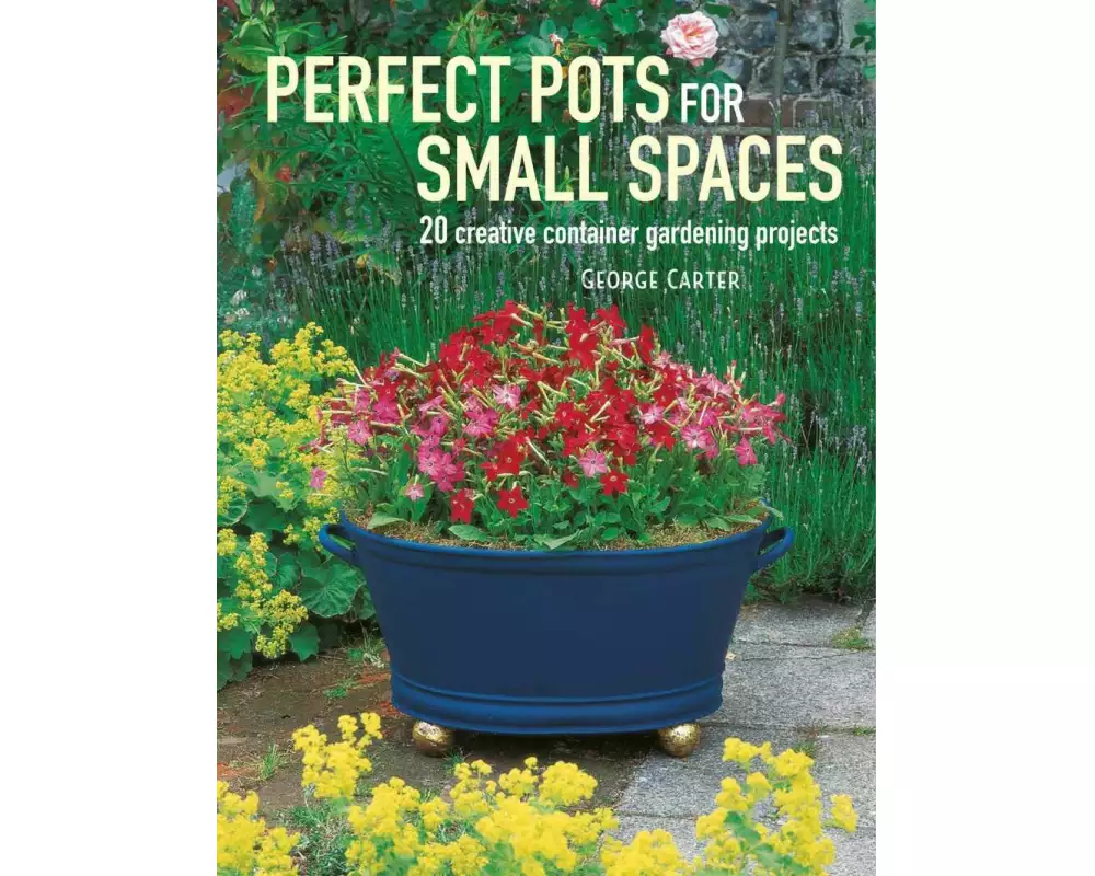 Perfect Pots for Small Spaces