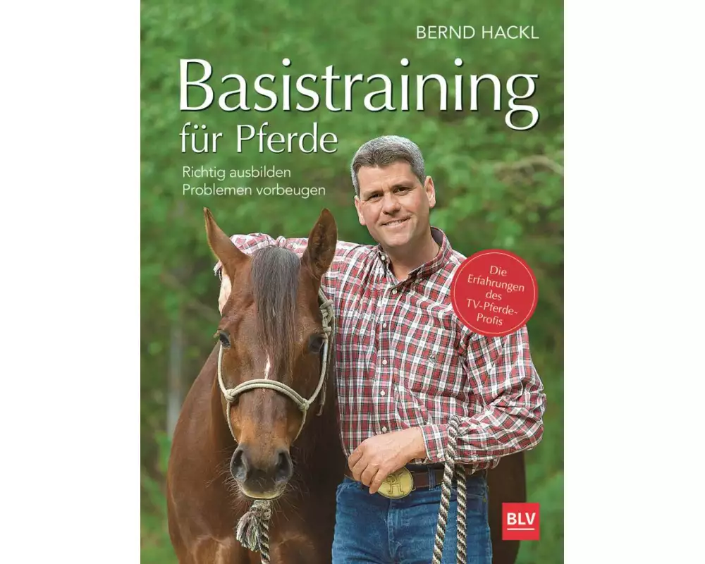 Basistraining für Pferde