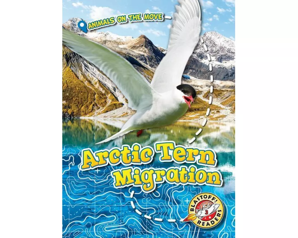 Arctic Tern Migration