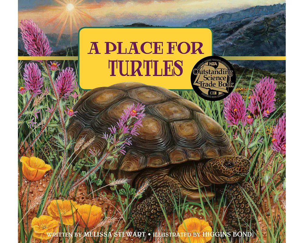 Place for Turtles