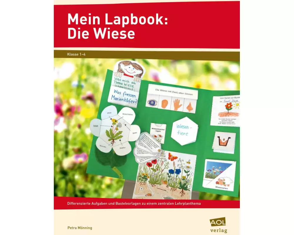 Mein Lapbook: Die Wiese