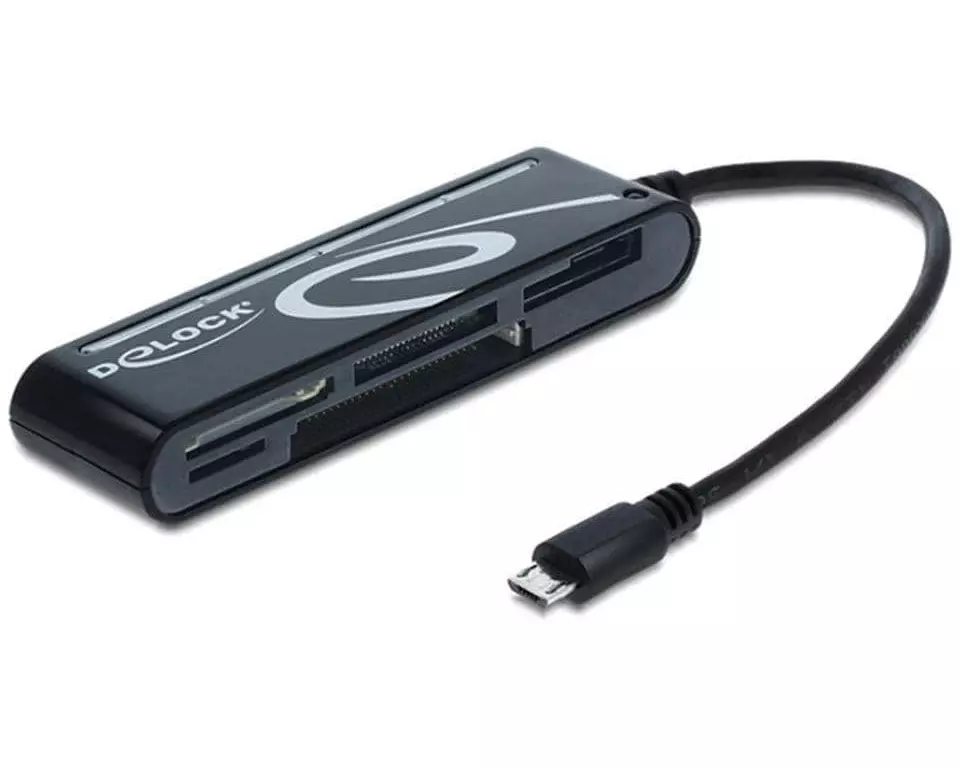 Delock Card Reader Extern 91732 All in 1 MicroUSB