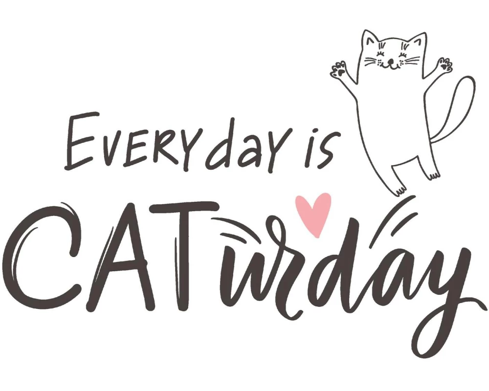 Paper + Design Papierservietten Caturday 33 cm x 33 cm, 20 Stück