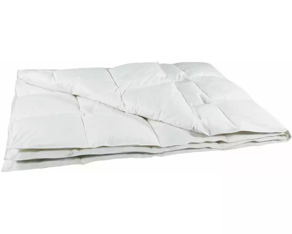 Albis Line 600 Ganzjahresdaunenduvet 160 x 210 cm