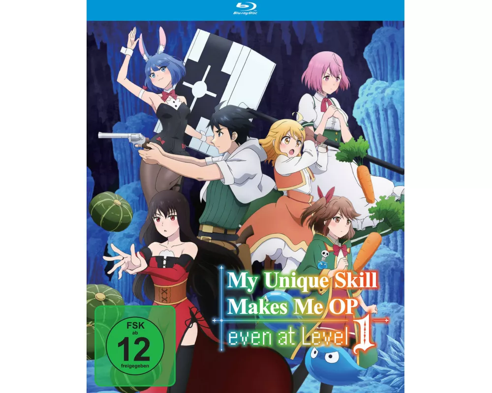 My Unique Skill Makes Me OP even at Level 1 - The Complete Season - Gesamtausgabe - Blu-ray