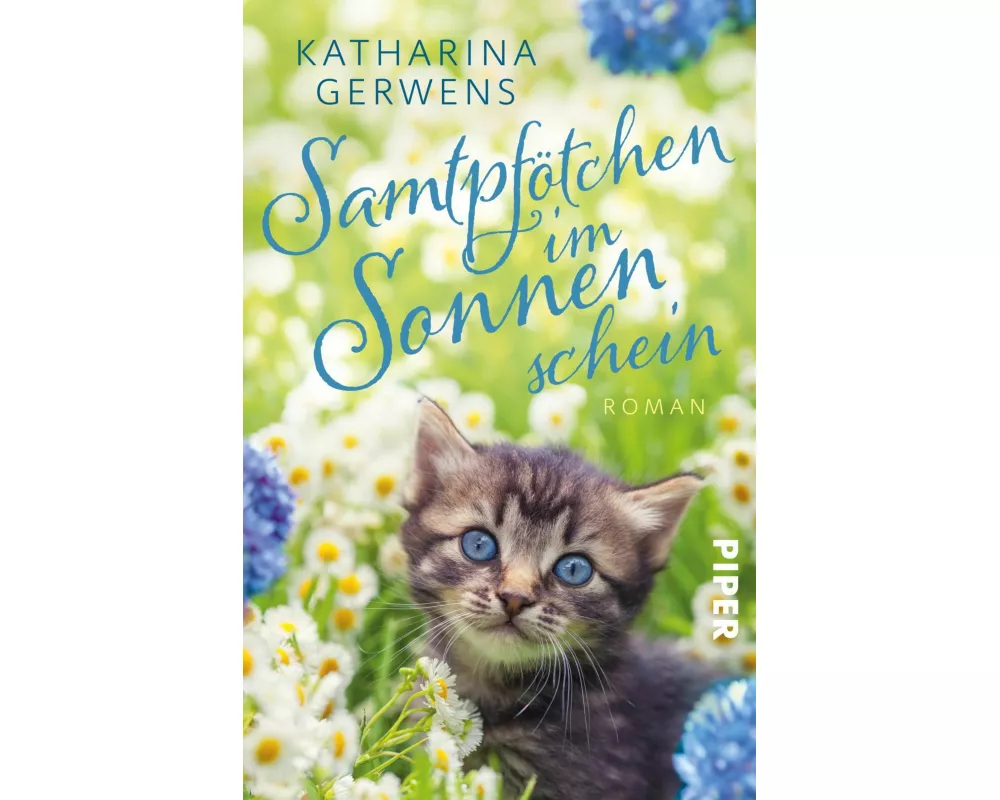 Samtpfötchen im Sonnenschein