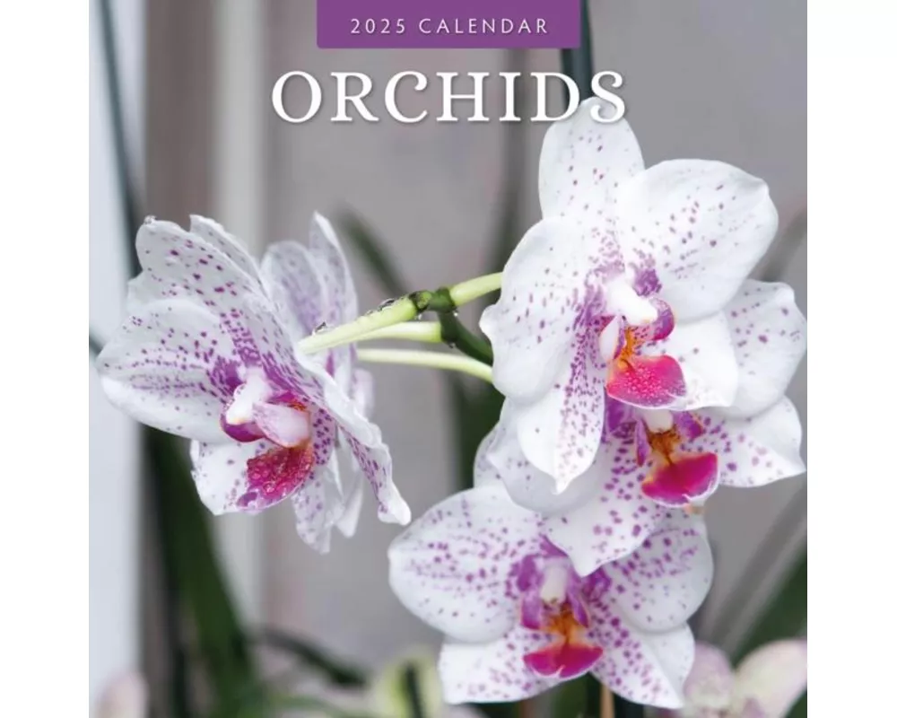 Orchids 2025 Square Wall Calendar