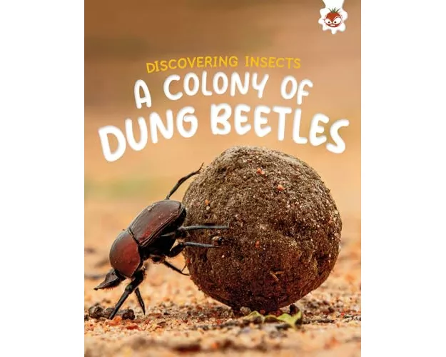 Discovering Insects: A Colony of Dung Beetles
