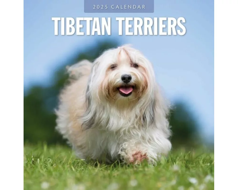 Tibetan Terriers 2025 Square Wall Calendar