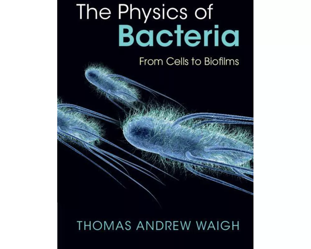 The Physics of Bacteria