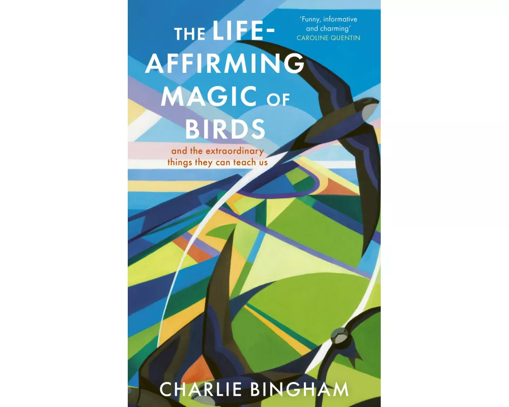 The Life-Affirming Magic of Birds