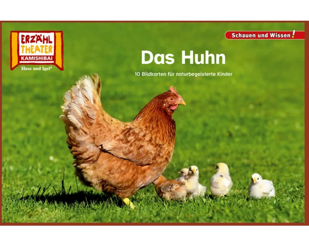 Das Huhn / Kamishibai Bildkarten