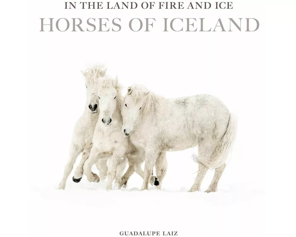 In the Land of Fire and Ice