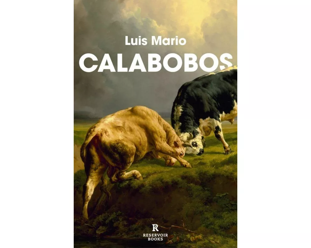 Calabobos