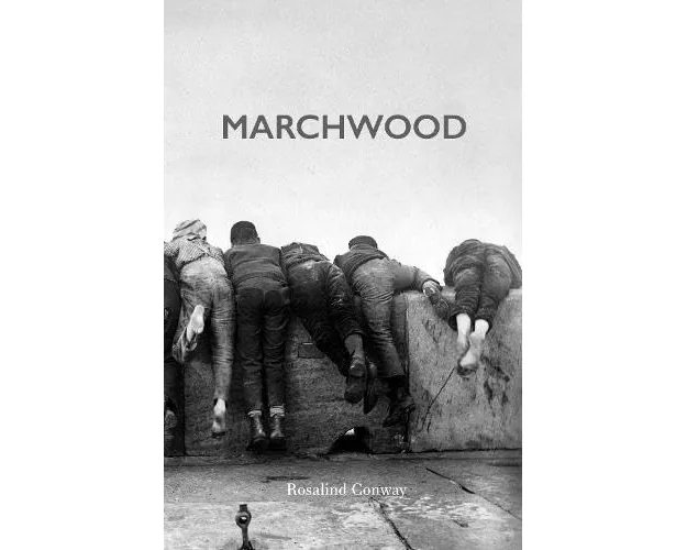 Marchwood