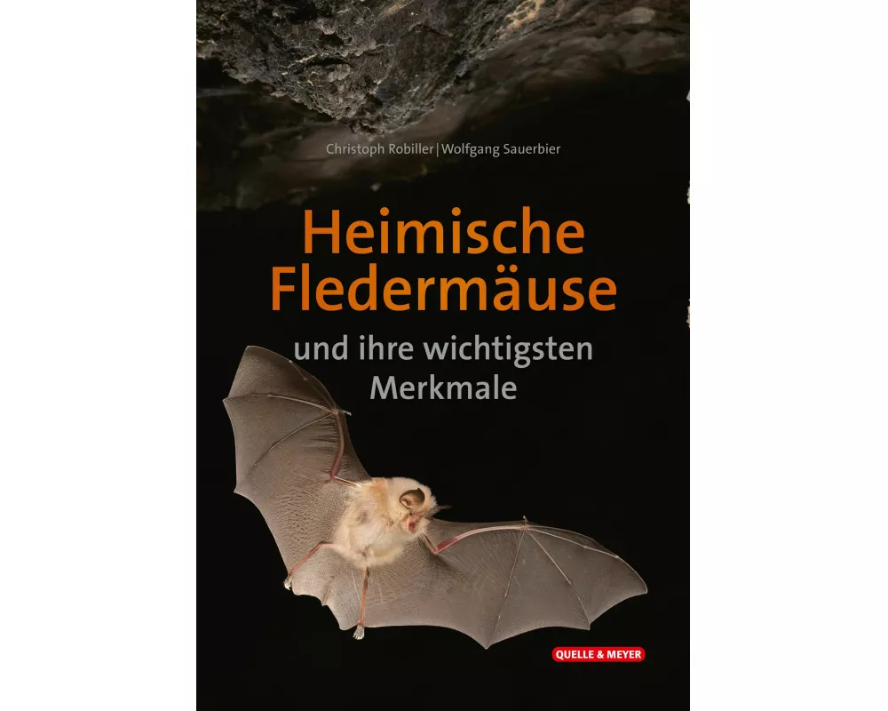 Heimische Fledermäuse und ihre wichtigsten Merkmale