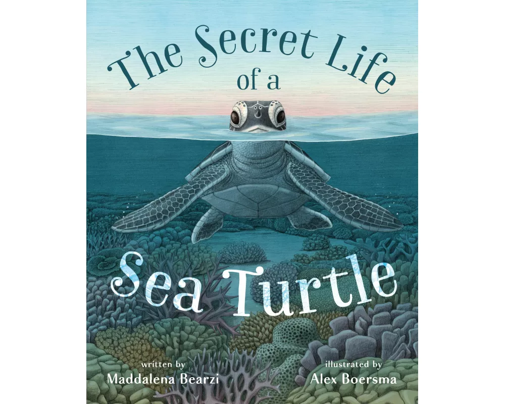 The Secret Life of a Sea Turtle