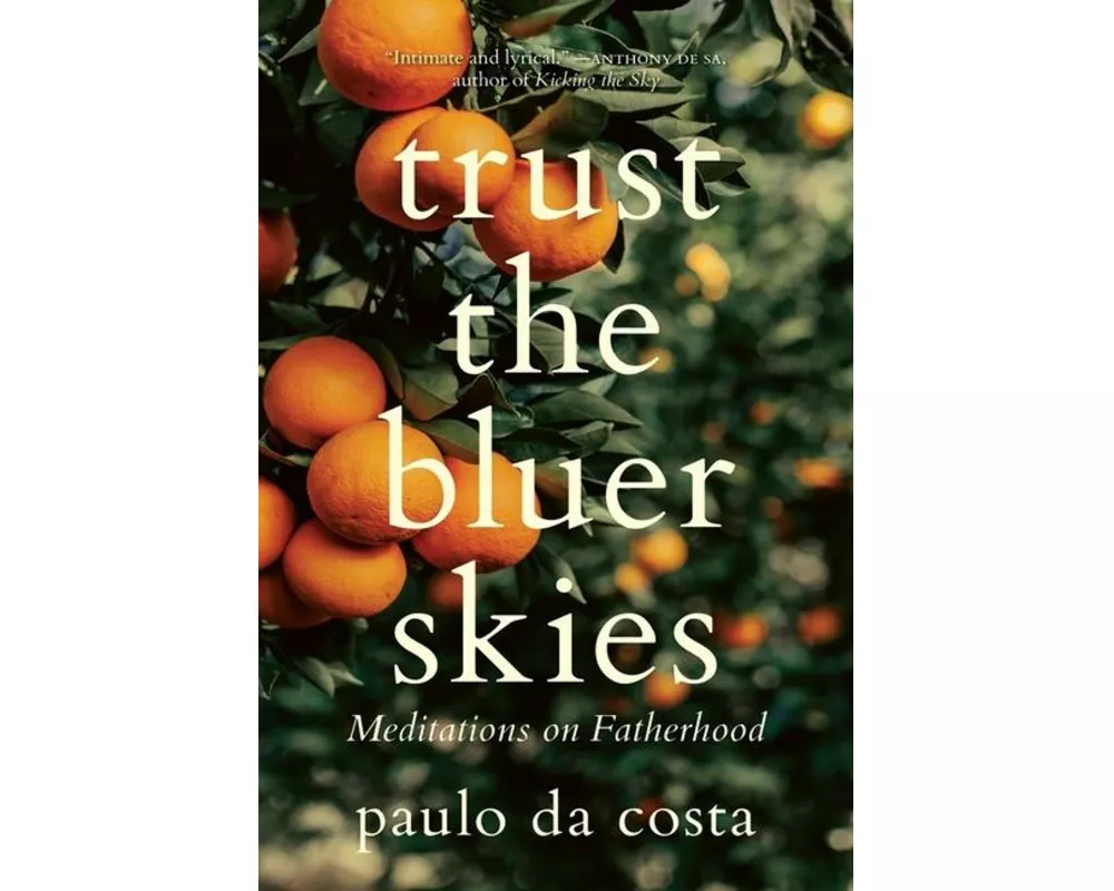 Trust the Bluer Skies