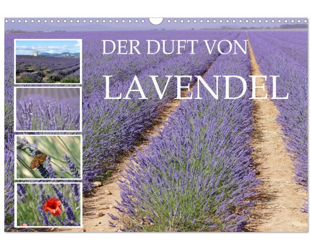 Der Duft von Lavendel (Wandkalender 2025 DIN A3 quer), CALVENDO Monatskalender