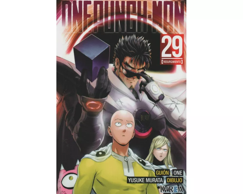 One Punch Man 29