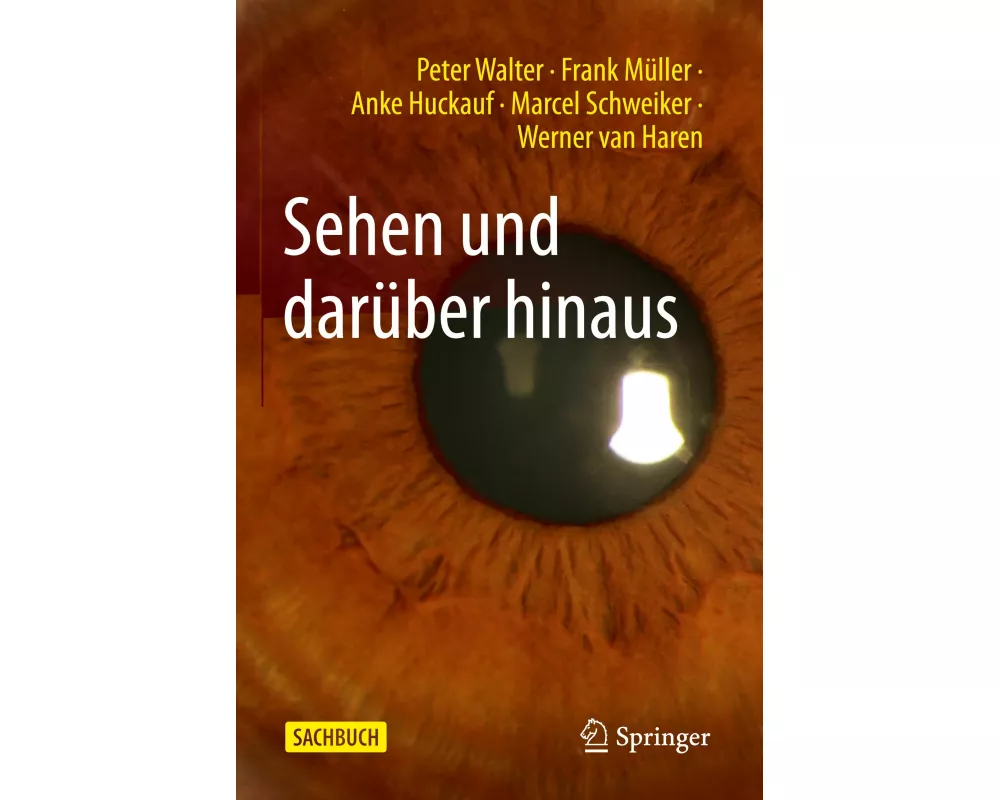 Sehen und darüber hinaus