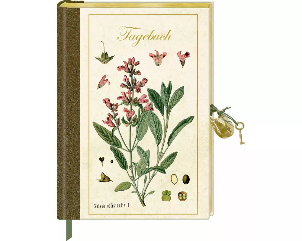 Tagebuch mit Schloss