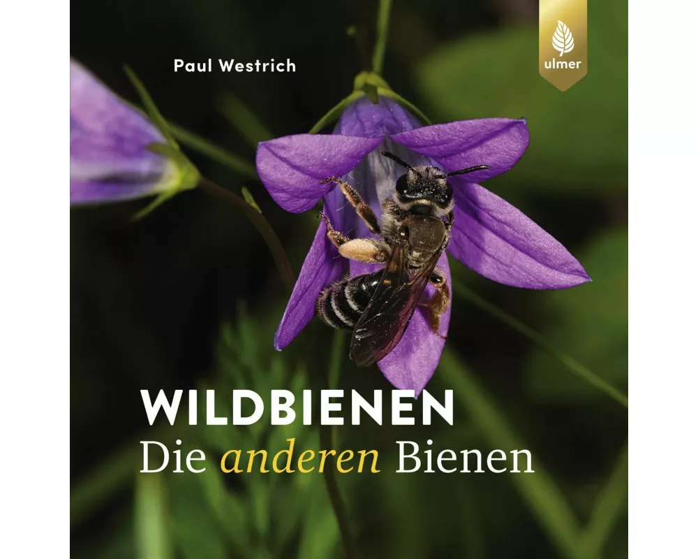 Wildbienen, die anderen Bienen