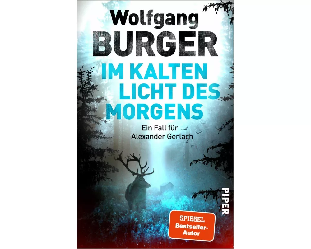 Im kalten Licht des Morgens