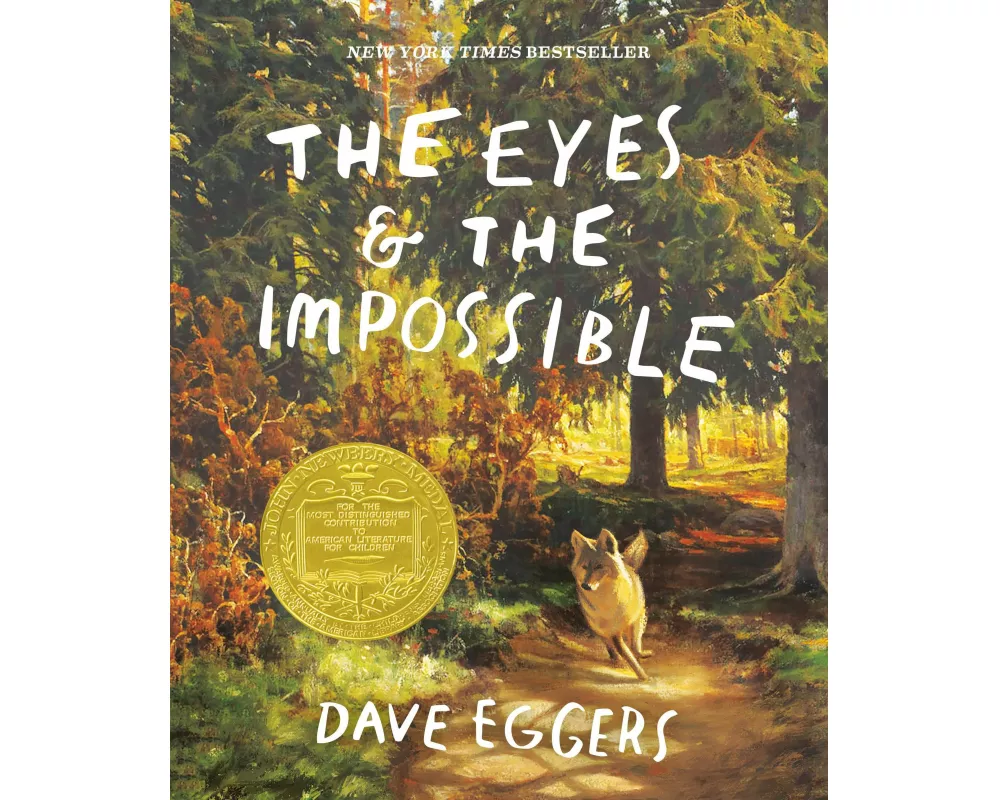 The Eyes and the Impossible