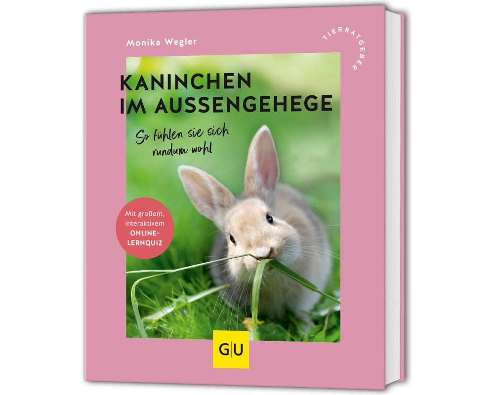 Kaninchen im Außengehege