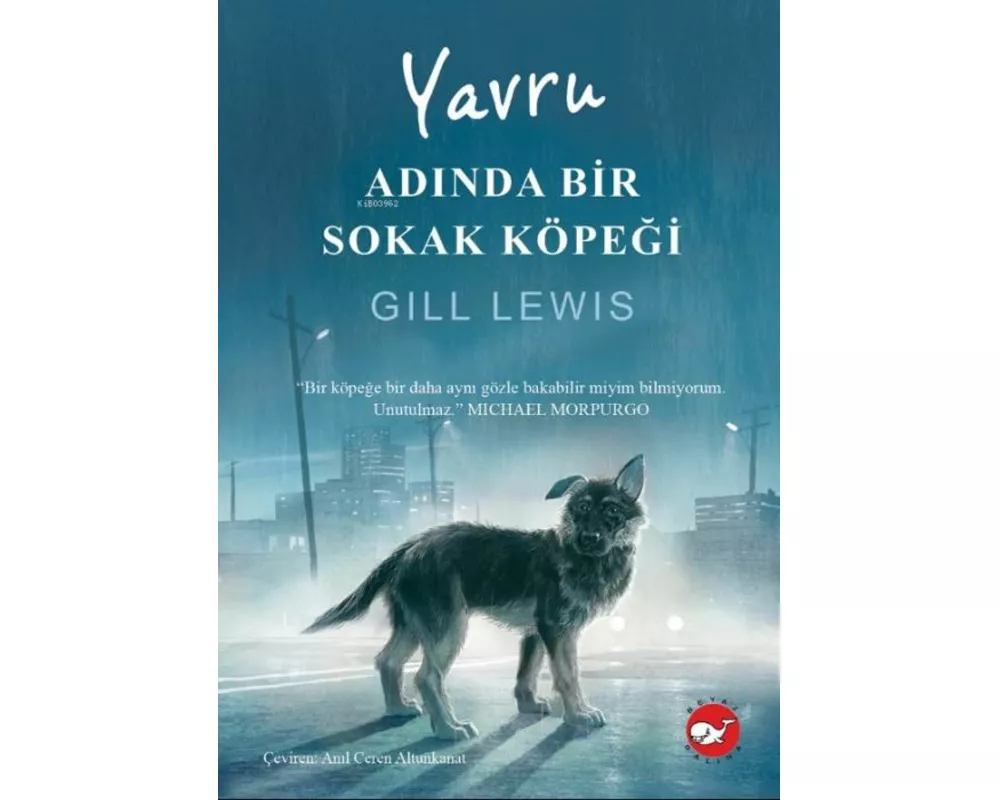 Yavru Adinda Bir Sokak Köpegi