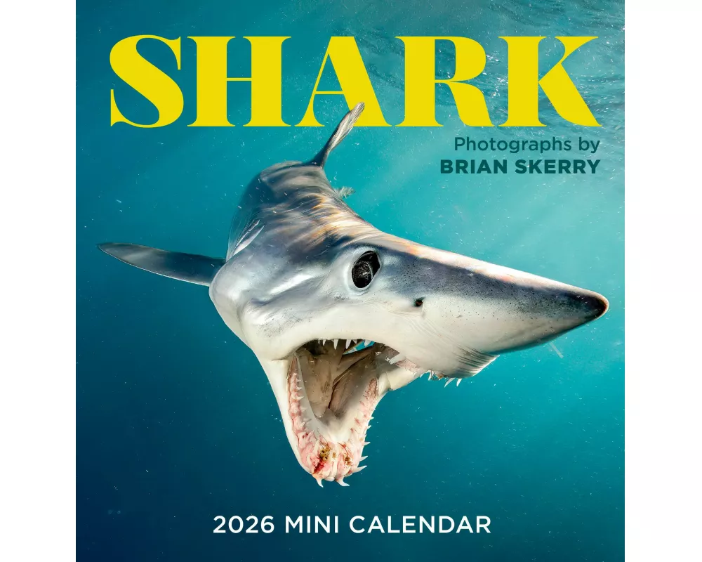 Shark Mini Wall Calendar 2026