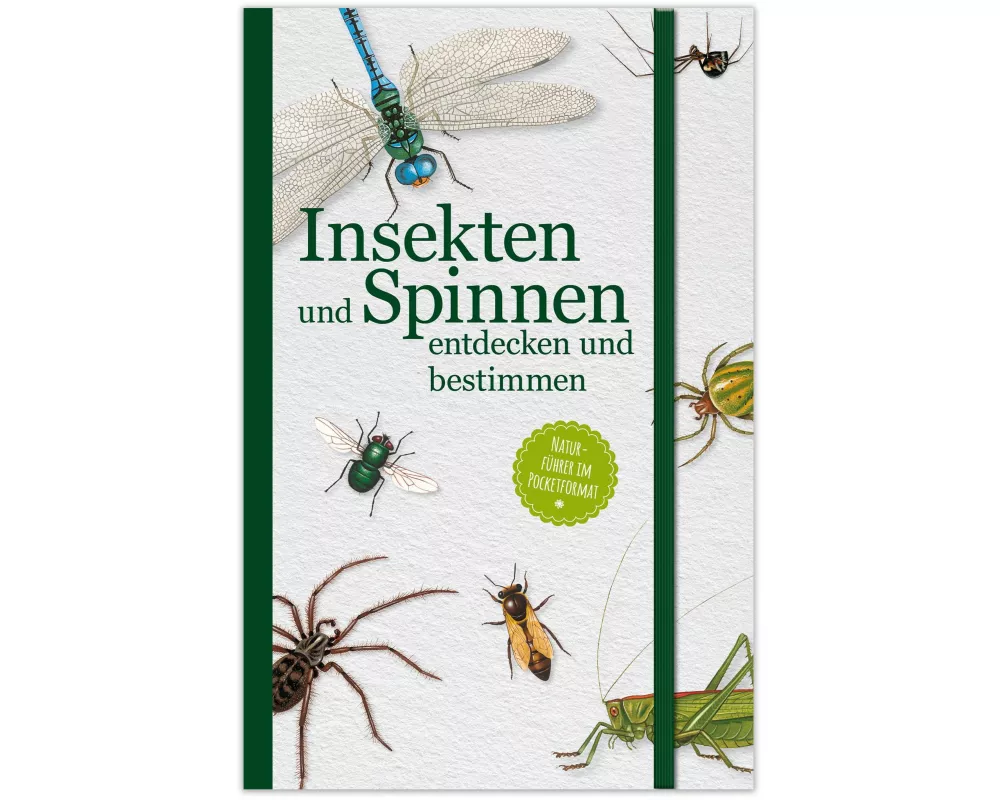 Insekten und Spinnen entdecken und bestimmen