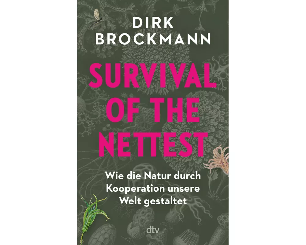 Survival of the Nettest