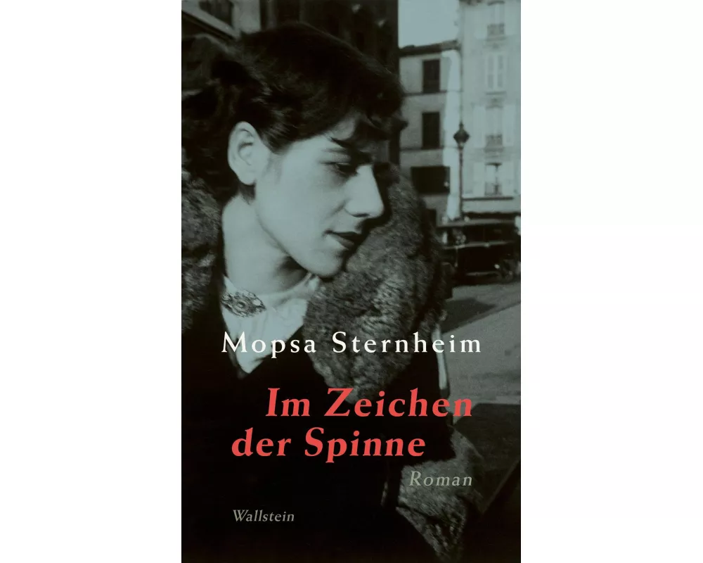 Im Zeichen der Spinne