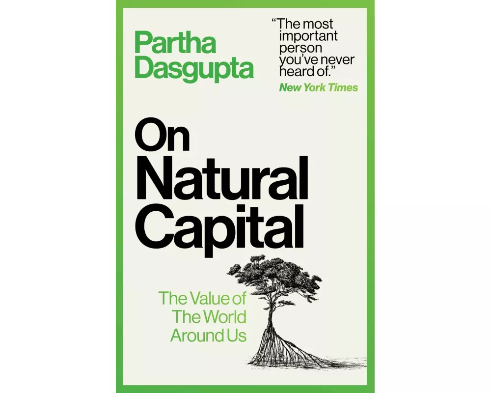On Natural Capital
