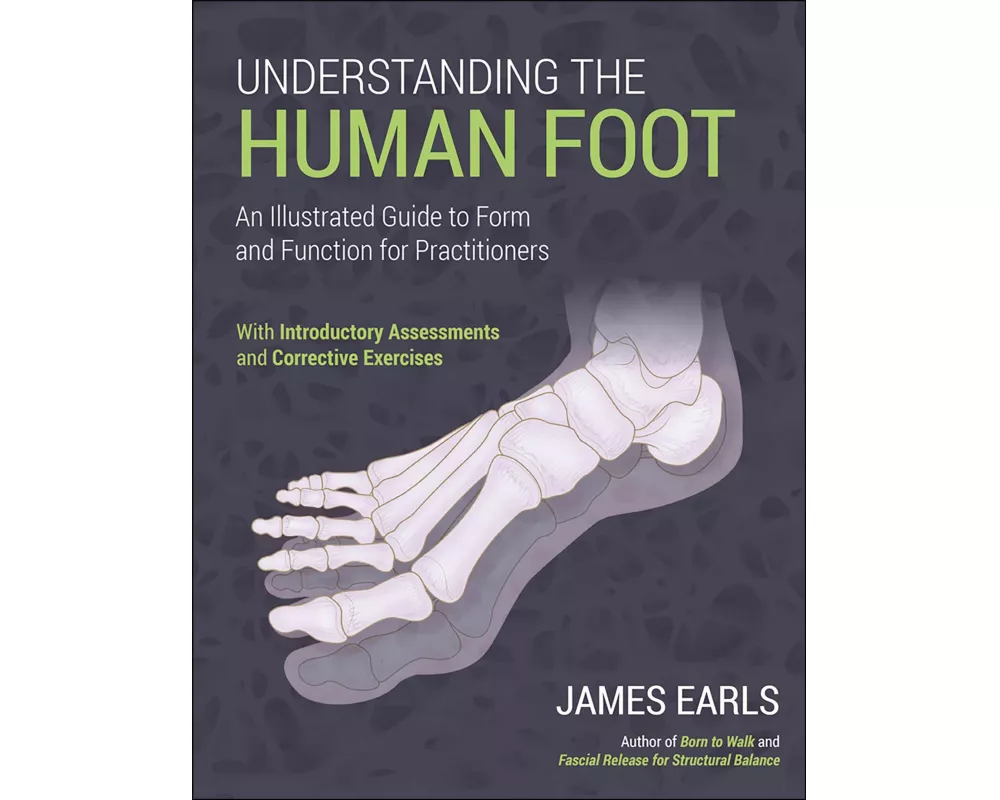 Understanding the Human Foot