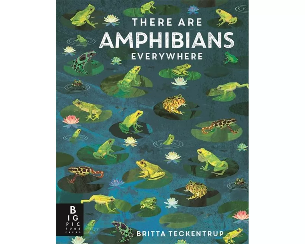 There Are Amphibians Everywhere
