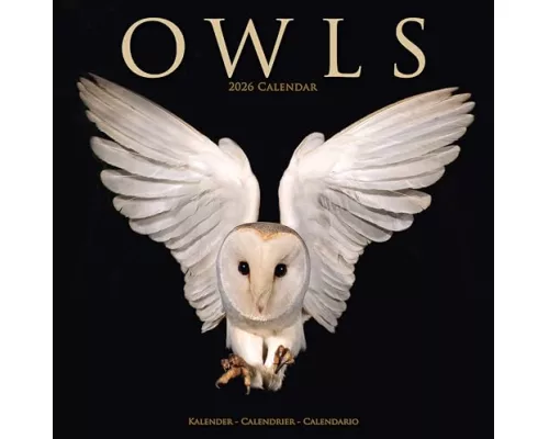 Owls Calendar 2026 Square Birds Wall Calendar - 16 Month