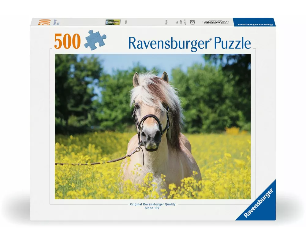 Erwachsenenpuzzle 500 Teile - Pferd im Rapsfeld