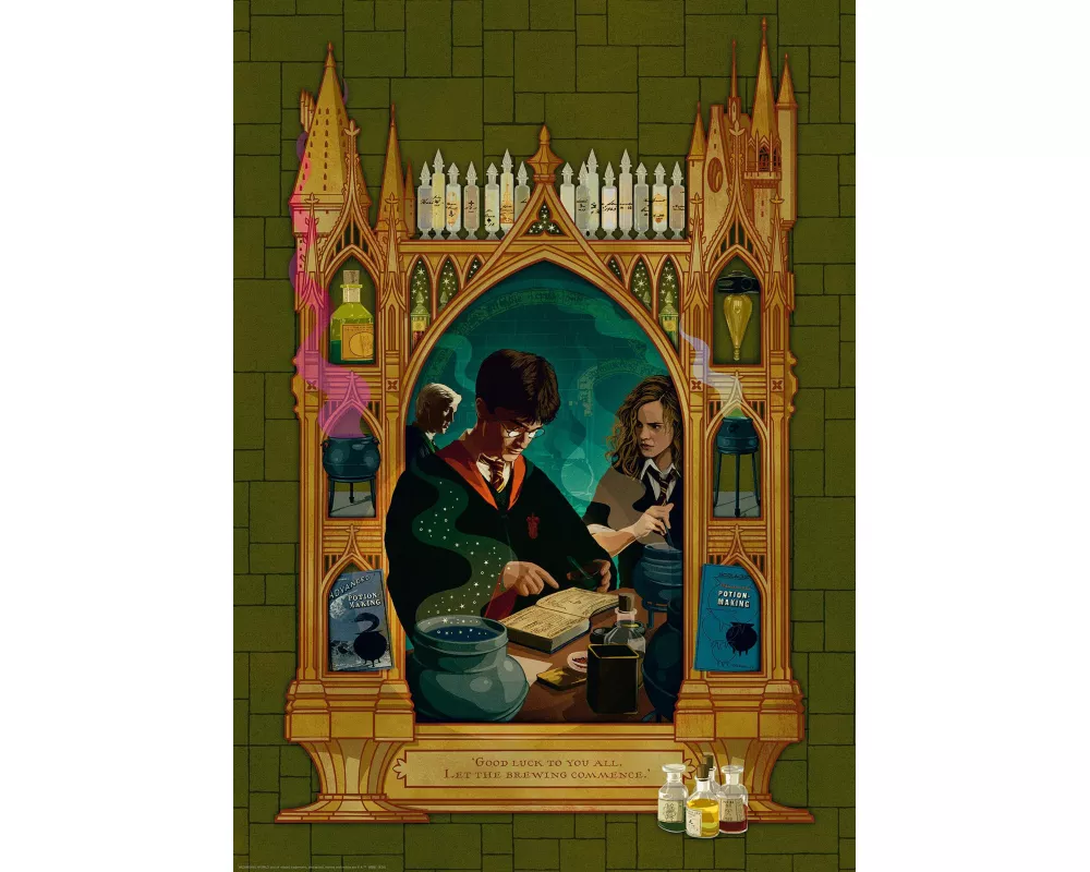 Erwachsenenpuzzle 1000 Teile - Harry Potter und der Halbblutprinz