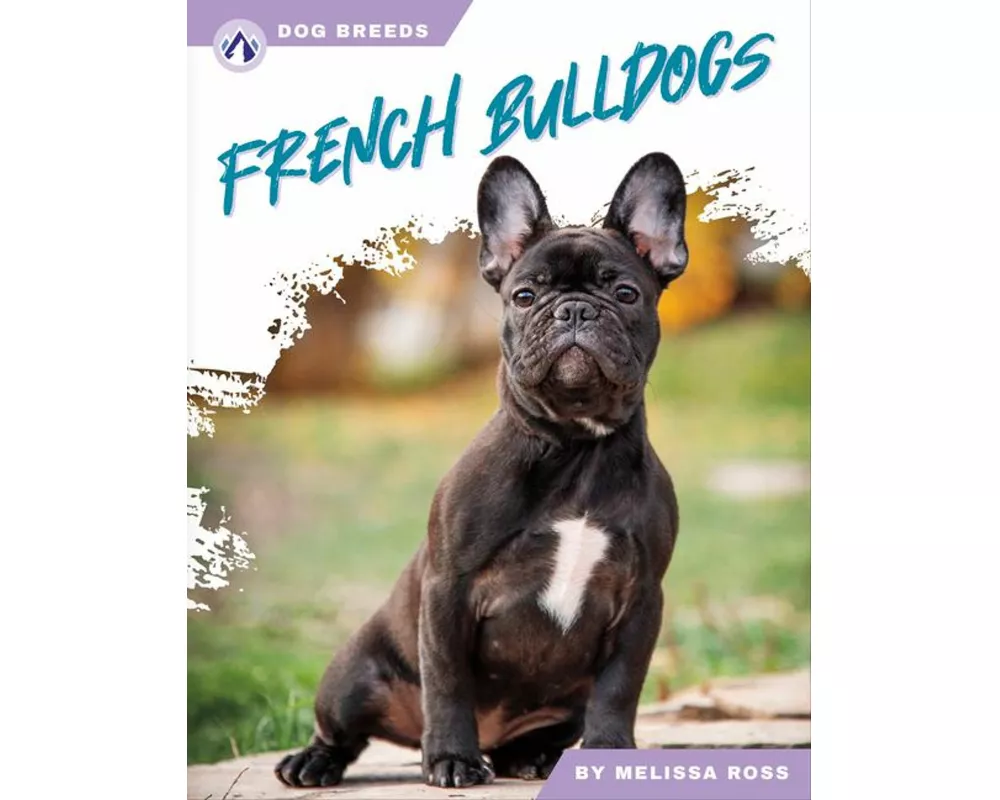 French Bulldogs