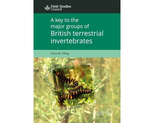 A Key to the Major Groups of Terrestrial Invertebrates
