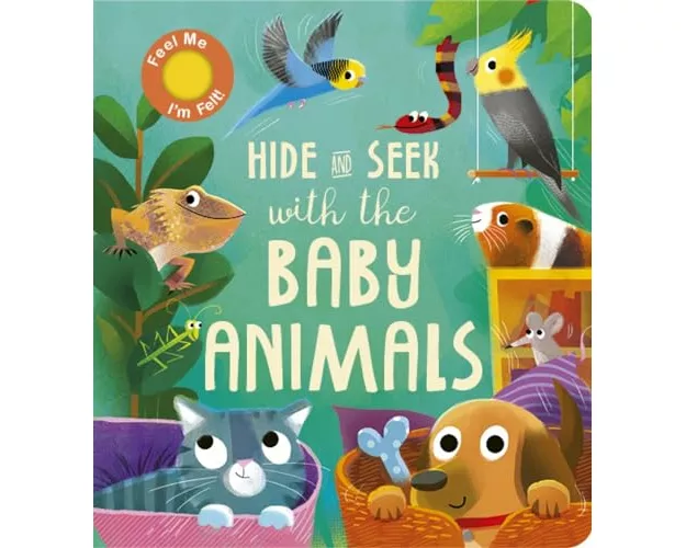 Hide and Seek with the Baby Animals
