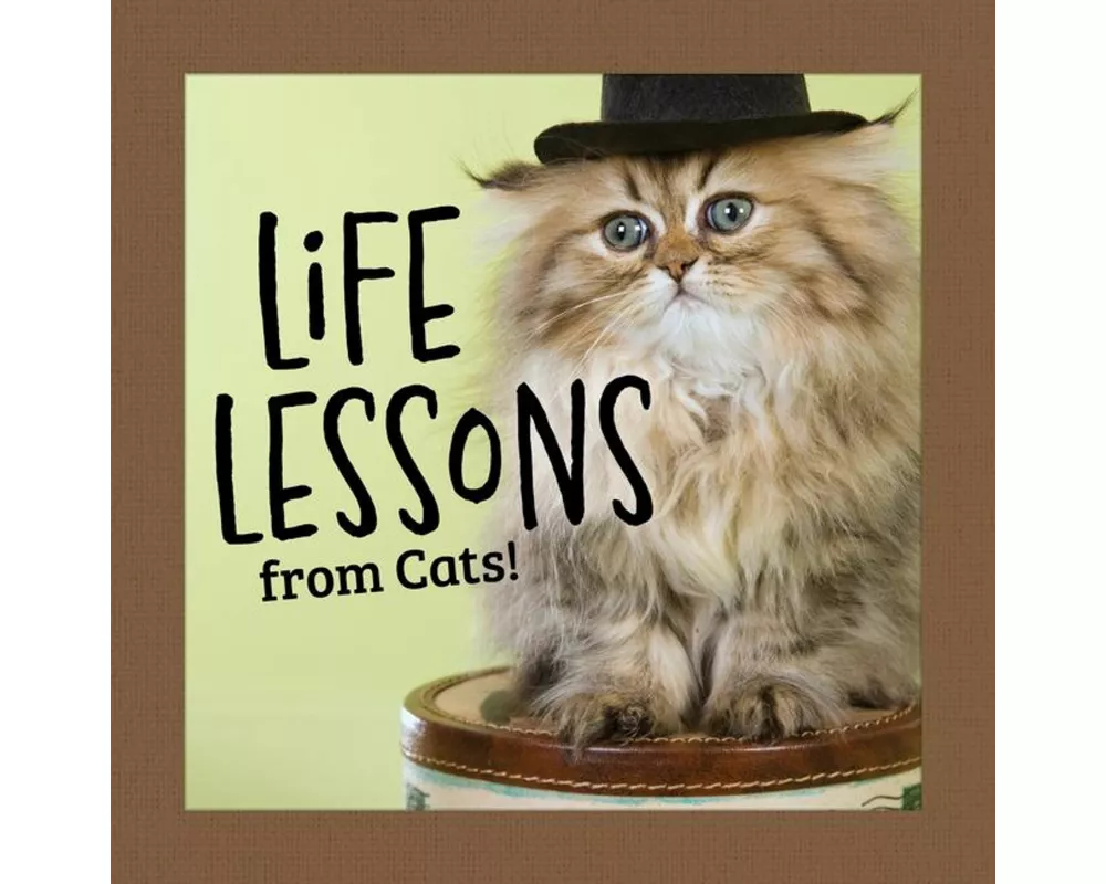 Life Lessons from Cats