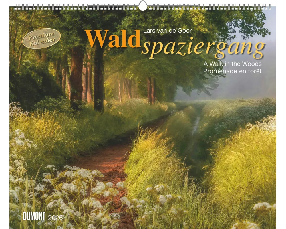 DUMONT - Waldspaziergang 2026 – Fotokunst-Kalender Querformat 60 x 50 cm – Naturfotografie von Lars van de Goor für Wald- & Naturfreunde