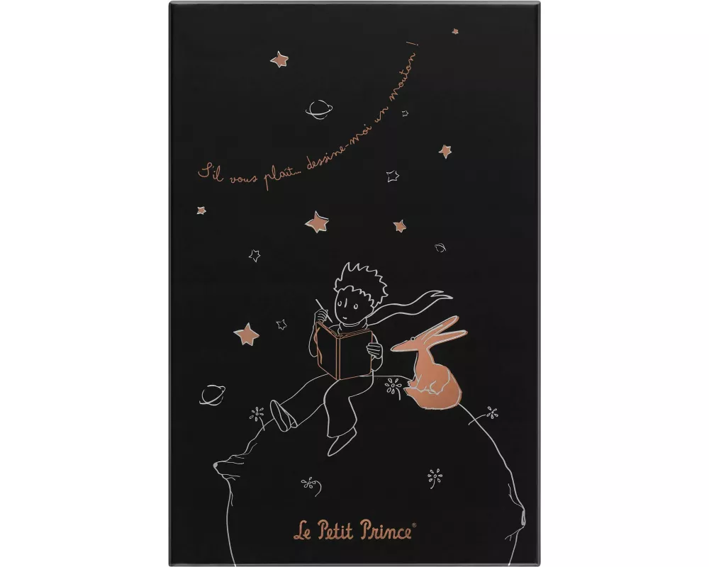 Moleskine der kleine Prinz Notizbuch in limitierter Auflage, large/A5, fester Einband, liniert, schwarz