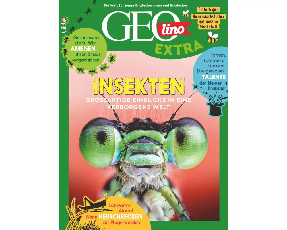 GEOlino Extra / GEOlino extra 101/2023 - Insekten