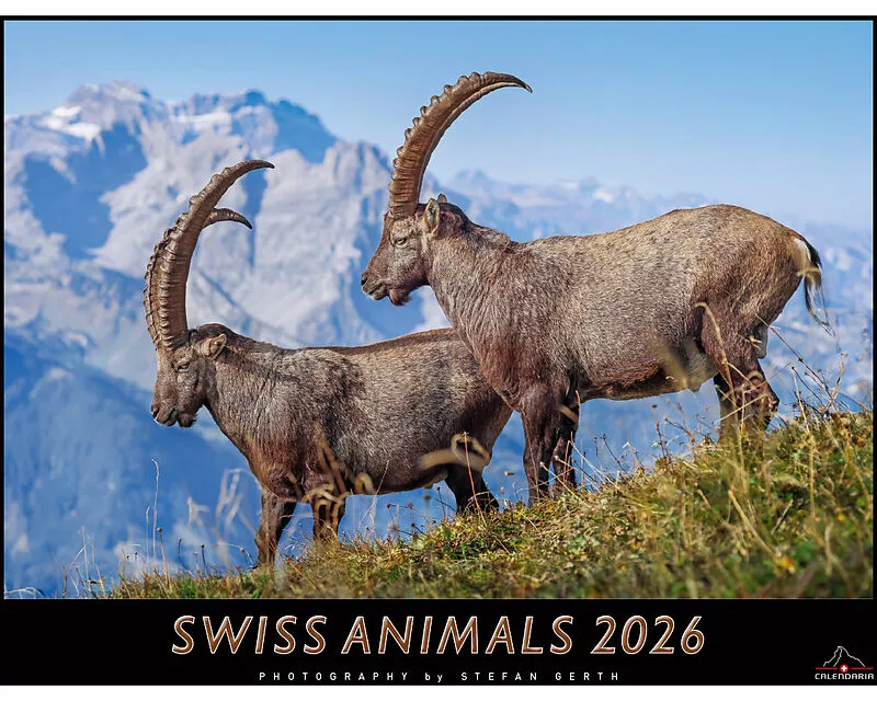 Swiss Animals 2026