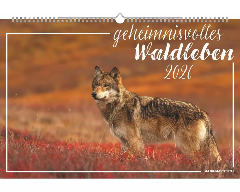 Alpha Edition - Geheimnisvolles Waldleben Kalender 2026 – Bildkalender 49,5x33 cm – Tiere & Pflanzen in heimischen Wäldern – Für Tier- und Naturfreund